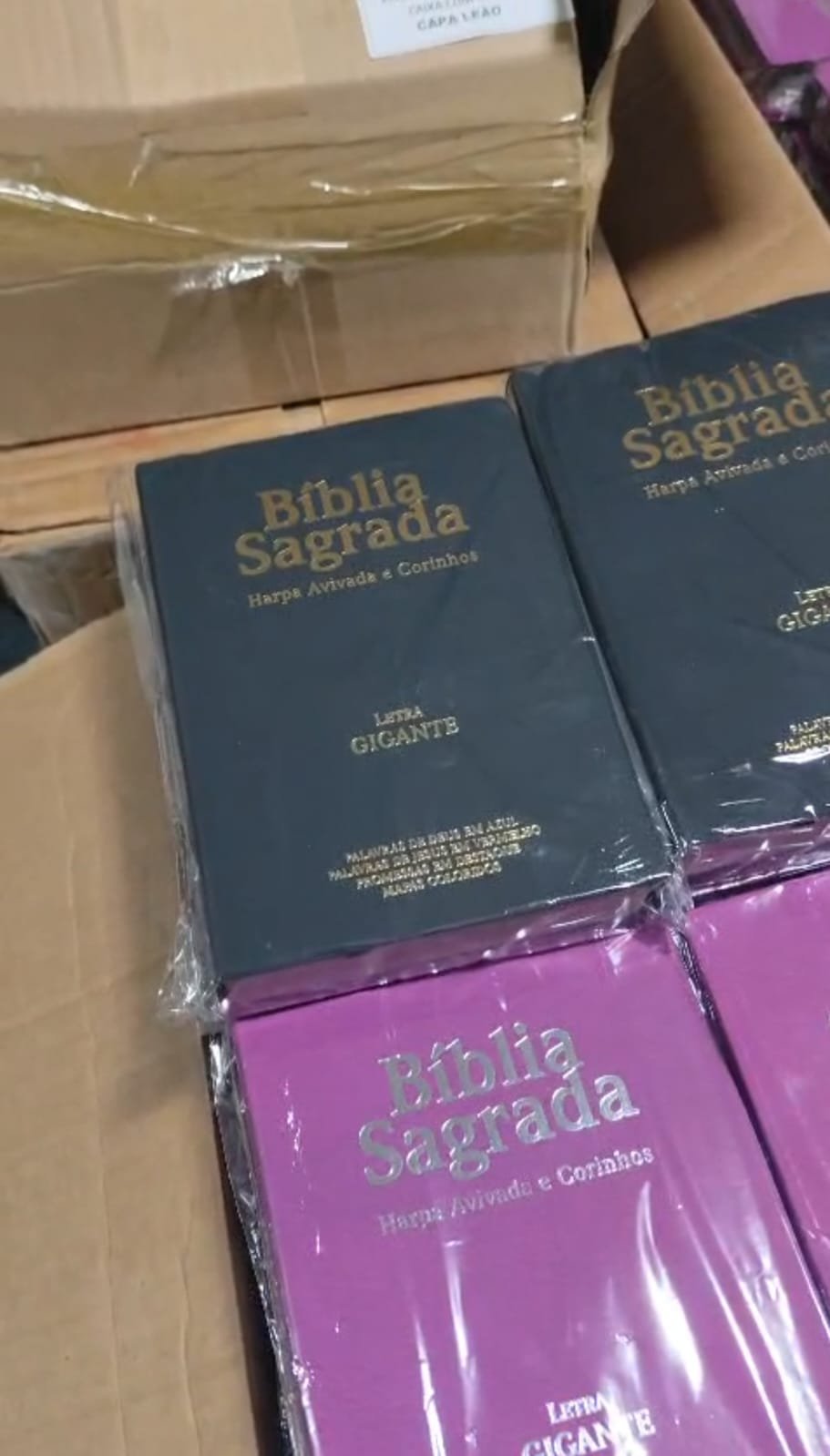 Bíblias organizadas para as ações.